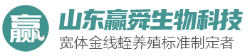 ys_01 350vip浦京集团